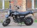 Мотоцикл Lifan PONY 100 LF100-C (14110314179905)