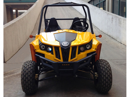 Bison UTV 150cc, Передняя подвеска описание продольный рычаг