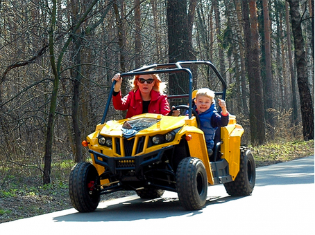 Bison UTV 150cc, Год выпуска 2016
