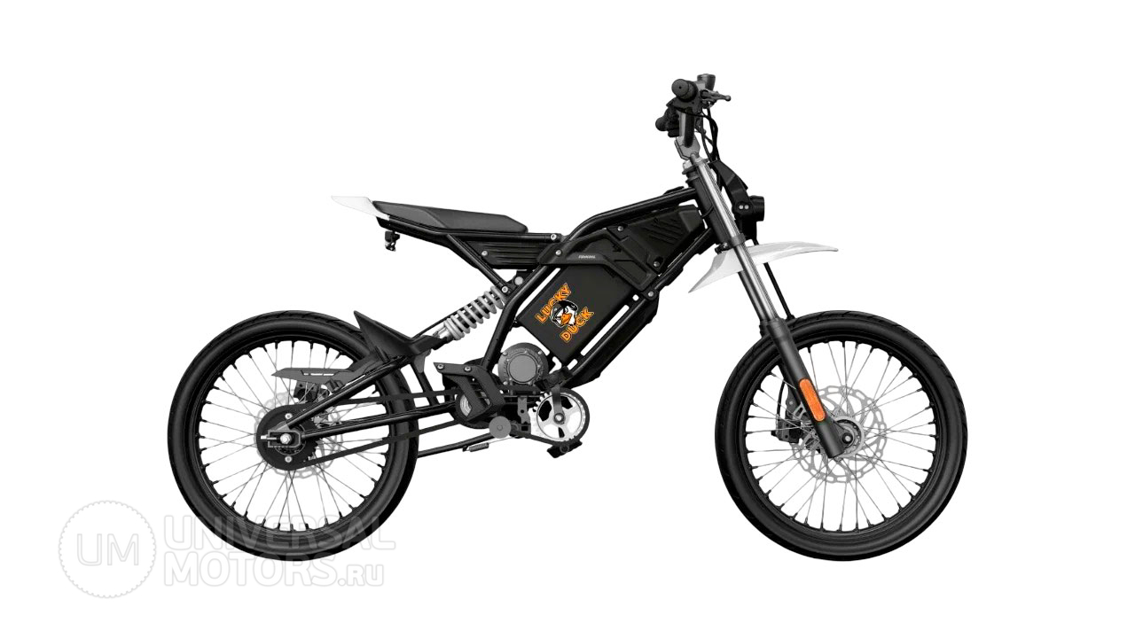 Электромотоцикл Lucky Duck ED B01 800 Вт