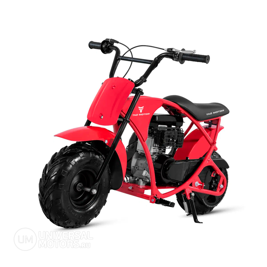 Минибайк Lucky Duck RB100