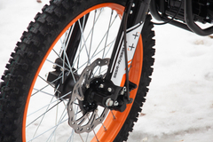 Фото: Мотоцикл SSSR DNA 300, Ширина шины 80 мм